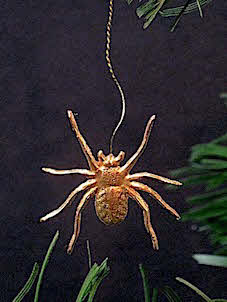 img_1319_20200913131500