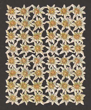 l&b 30611_20200913131442